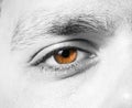 Male eye macro shot Royalty Free Stock Photo