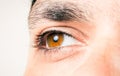 Male eye macro shot Royalty Free Stock Photo