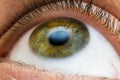 Male eye of yellow, green and some blue colors, looks up Royalty Free Stock Photo