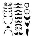 Male facial hair