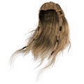 Male fantasy long hair on isolated white background, 3d render, 3d illustration