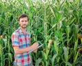 Male farmer checking plants on his farm. Agribusiness concept, agricultural engineer standing in a corn field with a tablet, Royalty Free Stock Photo