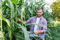 Male farmer checking plants on his farm. Agribusiness concept, agricultural engineer standing in a corn field with a tablet, Royalty Free Stock Photo