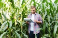 Male farmer checking plants on his farm. Agribusiness concept, agricultural engineer standing in a corn field with a tablet, Royalty Free Stock Photo