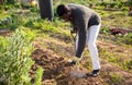 male farmer digging empty beds