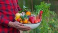 A male farmer holds a crop of vegetables in his hands. Selective focus Royalty Free Stock Photo