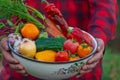 A male farmer holds a crop of vegetables in his hands. Selective focus Royalty Free Stock Photo