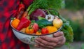 A male farmer holds a crop of vegetables in his hands. Selective focus Royalty Free Stock Photo