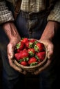 A male farmer holds a strawberry harvest in his hands. Generative AI,