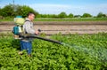 Male farmer with a mist sprayer processes potato bushes with chemicals. Control of use of chemicals. Farming growing vegetables Royalty Free Stock Photo