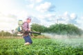 Male farmer with a mist sprayer processes potato bushes with chemicals. Protection of cultivated plants from insects and fungal