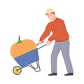 Male Farmer Pushing Wheelbarrow with Mature Pumpkin Vector Illustration Royalty Free Stock Photo