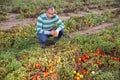 Male farmer regrets lost tomato crop after disaster