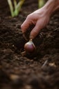 A male farmer\'s hand plants a young onion in the ground, Generative AI