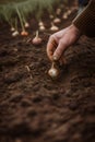 A male farmer\'s hand plants a young onion in the ground, Generative AI 2