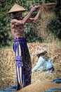 A male farmer sieving grains through the sieve