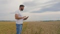 Male farmer with tablet computer in wheat field walking and checking wheat quality Royalty Free Stock Photo