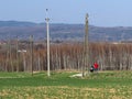 A male father walks in nature with a child in a children`s stroller near electric poles. Fields with young wheat and birch forest.