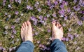 Male feet in crocus or saffron flowers field