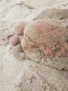 male feet and toes in sand on beach Royalty Free Stock Photo