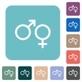 Male and felmale gender symbols rounded square flat icons Royalty Free Stock Photo