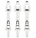 Male and female body types