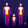 Male and female body warmth in infrared spectrum. Human temperature schematic vector illustration Royalty Free Stock Photo