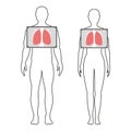 Fluorography. Chest x-ray. Vector illustration.