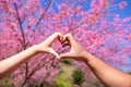 male and female couple showing their hands up to form heart symbol to show friendship love and kindness because heart is symbol of