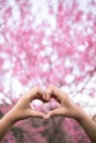 male and female couple showing their hands up to form heart symbol to show friendship love and kindness because heart is symbol of