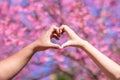 male and female couple showing their hands up to form heart symbol to show friendship love and kindness because heart is symbol of