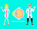 Male and female doctor with eyeball, internal organs anatomy body part nervous system