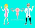 Male and female doctor with female reproductive system, internal organs anatomy body part nervous system Royalty Free Stock Photo