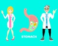 Male and female doctor with stomach gastric,internal organs anatomy body part nervous system, background