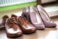 Male and female dress shoes Royalty Free Stock Photo