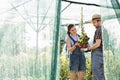 Male and female gardeners discussing over potted plant at greenhouse Royalty Free Stock Photo