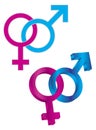 Male and Female Gender Symbol Intertwined