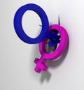 Male female gender symbols Royalty Free Stock Photo