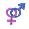 Male female gender symbols intertwined Royalty Free Stock Photo