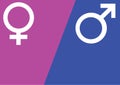 Male and female gender symbols Mars and Venus signs over pink and blue background vector illustration Royalty Free Stock Photo