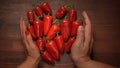 Male and female hand holding forming shape of chillies or peppers and capsicums or bell peppers. sweet bell, paprika Royalty Free Stock Photo