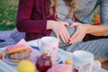 Male and female hand of spouses with their palms made a heart shape on the belly of a pregnant wife on a blurred background picnic Royalty Free Stock Photo