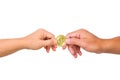 Male and female hands holding bitcoin crypto currency on white background. Business finance and investment concept Royalty Free Stock Photo