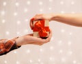Male and female hands holding a gift box together. Royalty Free Stock Photo