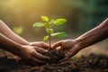 Male and female hands stretching out towards each other and holding tree sapling.