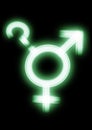 Male and female icon neon symbols together