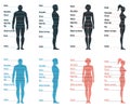 Male and female size chart anatomy human character, people dummy front and view side body silhouette, isolated on white, flat Royalty Free Stock Photo