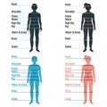 Male and female size chart anatomy human character, people dummy front and view side body silhouette, isolated on white, flat Royalty Free Stock Photo