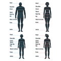 Male and female size chart anatomy human character, people dummy front and view side body silhouette, isolated on white, flat Royalty Free Stock Photo