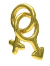 Male and female symbol Royalty Free Stock Photo